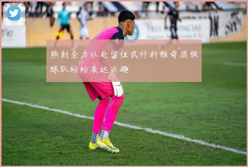 热刺全力以赴留住武什科维奇顶级球队纷纷表达兴趣